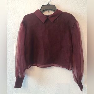 Zara Collared Top